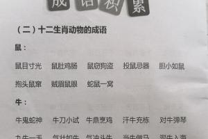 十二生肖的成语归类,值得同学们收藏