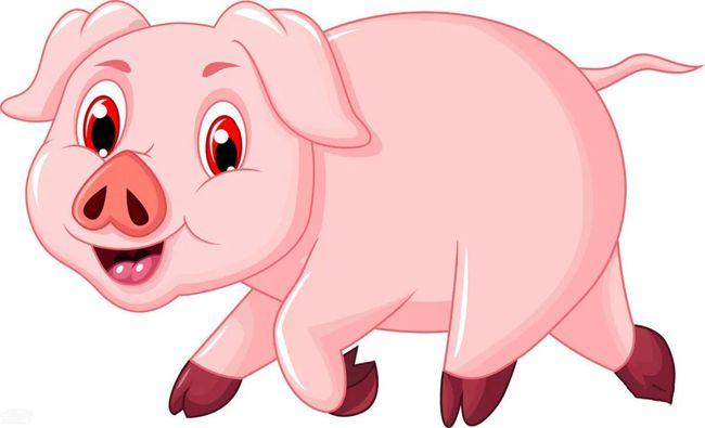 生肖运势,属猪2023年运势及运程如何,2023年属猪人的全年运势