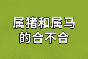 属马和属猪的合财吗(属马和属猪的合不合财)