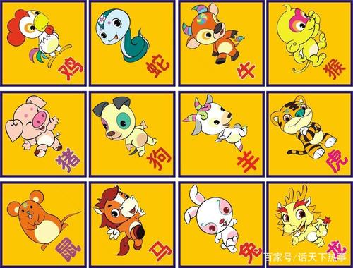 十二生肖为什么选这几样动物?中国文化告诉你!