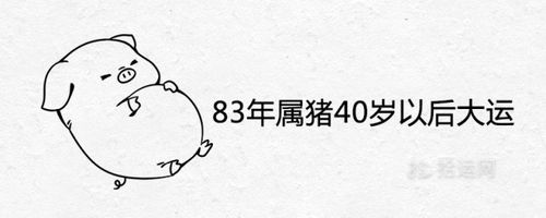 83年属猪40岁以后大运是吉是凶晚年命运如何