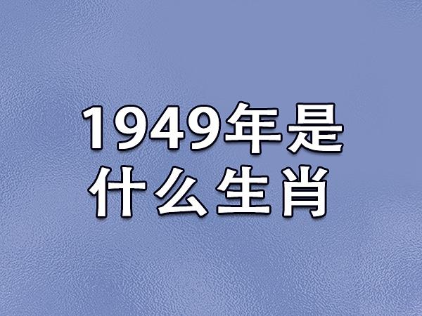 1949年是什么生肖年