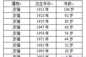 属猪的2023多大(2023年属猪的多大)