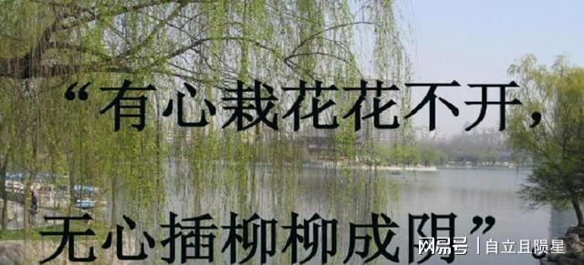 无心插柳柳成荫的上联是什么