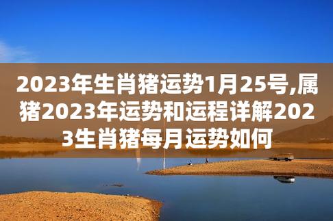 2023年生肖猪运势1月25号,属猪2023年运势和运程详解2023生肖猪每月