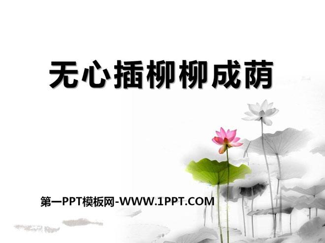 《无心插柳柳成荫》ppt课件