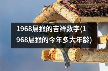 1968属猴的吉祥数字(1968属猴的今年多大年龄)