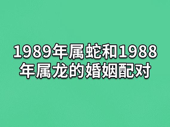 1989年属蛇和1988年属龙的婚姻配对