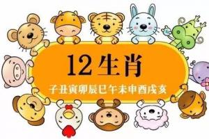 12年的相伴 12年一轮回 从2005年鸡年到2017年鸡年,整整一个生肖轮回