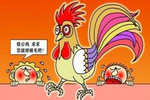 铁公鸡,一词常见于歇后语