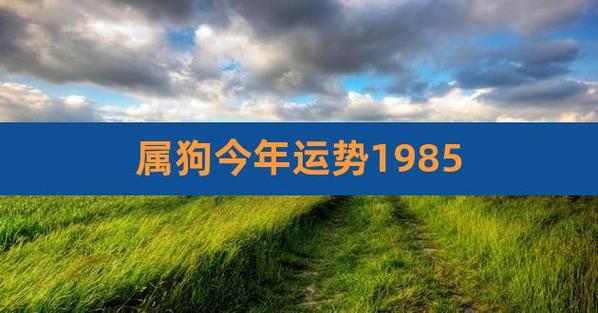 属狗今年运势1985,1982年属狗运势及运程