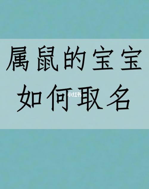 属鼠的宝宝如何取名字宝宝起名字宝宝取名