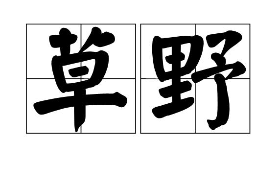 意思是:1,野草丛生的地方;荒凉的原野.2,乡野;民间.3,指平民百姓.