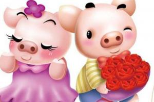 属猪和属鸡的婚姻怎么样属鸡和属猪的犯六害怎么化解