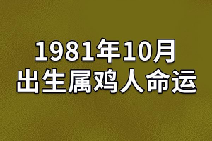 辰时属鸡的人命运 属鸡辰时生