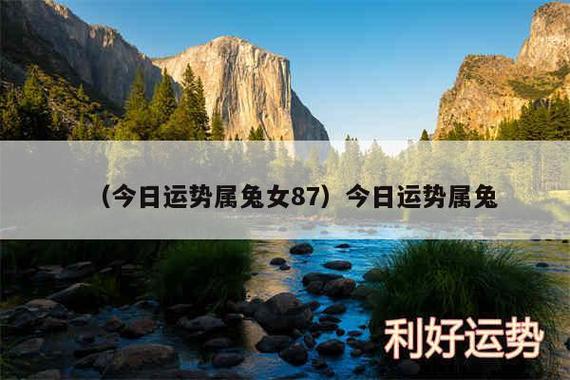 今年属兔的运势 2024年属兔运势是什么意思?