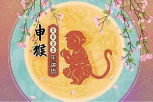 属猴的命运2023年(属猴的人2023年运程)