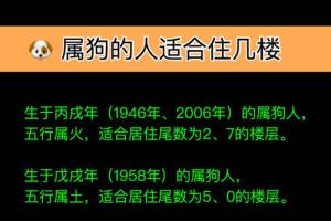 属狗的人住几楼合适,属狗的人住几楼最吉利