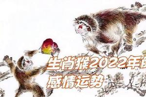 十二生肖中,生肖猴2022年的感情运势,看过来!