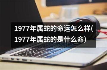 1977年属蛇的命运怎么样(1977年属蛇的是什么命)