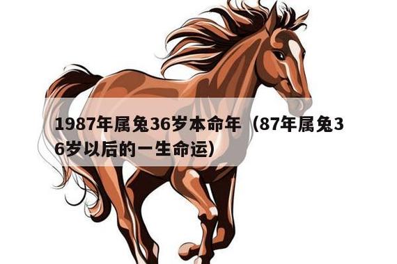 1987年属兔36岁本命年(87年属兔36岁以后的一生命运)_十二生肖网