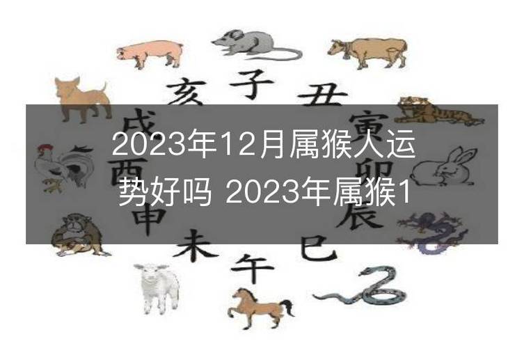 2023年12月属猴人运势好吗 2023年属猴12月运程如何