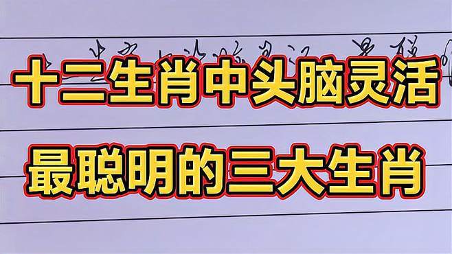 十二生肖中,头脑灵活,最聪明的三大生肖!有你的生肖吗?