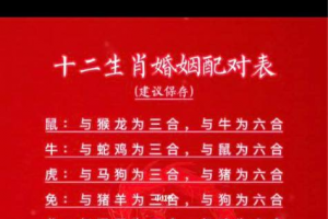 属相最佳的姻缘配对 十二生肖是按农历还是阳历算