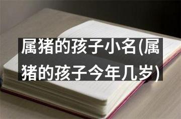 今年出生的猪宝宝怎么取一个好听新潮的小名