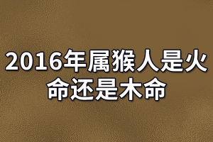 属猴80年是什么命(80年属猴是什么命)