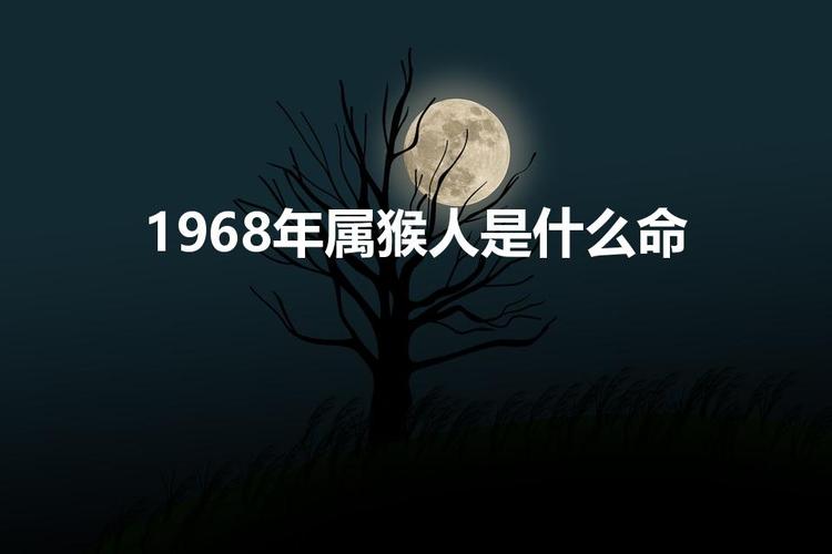 1968年属猴人是什么命(68年的猴是什么命)-懂百科