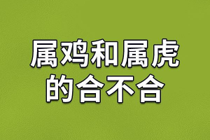 属虎男属鸡女配吗(98年属虎女和93年属鸡男配吗)