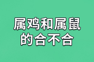 生肖鸡和鼠配对吗 鸡生肖和什么最配对