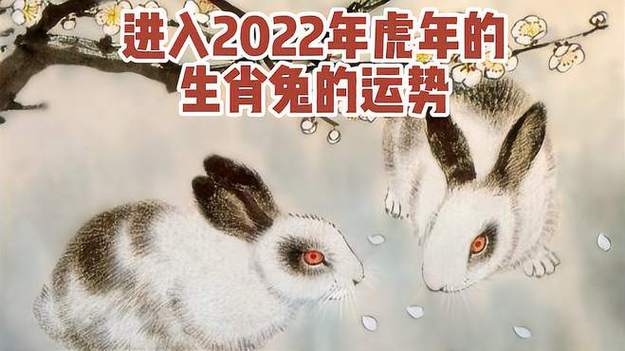 2023年属兔农历6月运势 2023年属兔农历6月运势如何