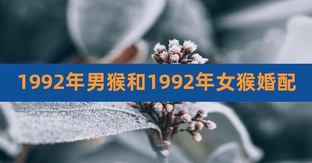 1992年男猴和1992年女猴婚配,1992年男女属猴相配吗