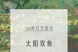 (144种日月组合)太阳双鱼座&月亮风象