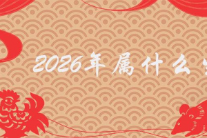 2023年是啥年生肖 2023年是啥年生肖