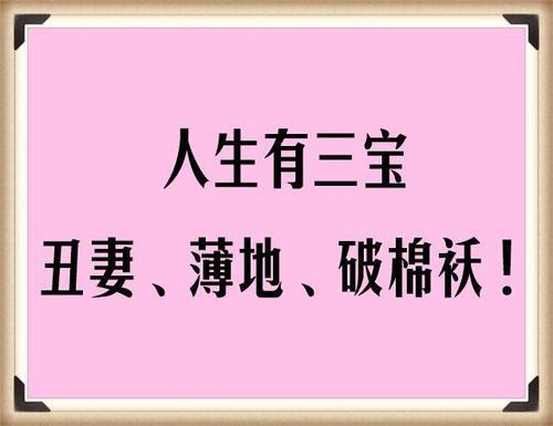 家有三宝丑妻民间俗语人生有三宝除了丑妻和薄地还有一个是什么