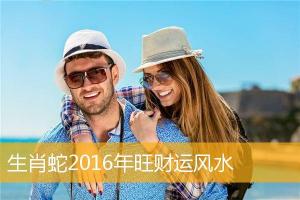 生肖蛇2016年旺财运风水_属蛇_华人开运网