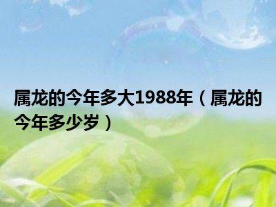 属龙的今年多大1988年(属龙的今年多少岁)_一天资讯网