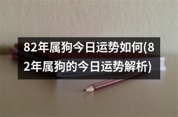 82年属狗今日运势如何(82年属狗的今日运势解析)