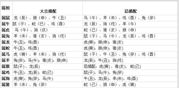 找女朋友或婚配需要参考八字还是生肖星座是否配对?