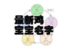 马姓属鸡男孩取名(新生儿男孩名字)