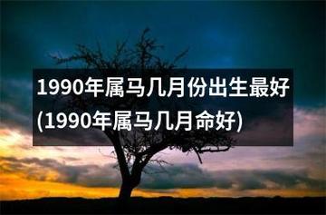 1990年属马几月份出生更好(1990年属马几月命好)