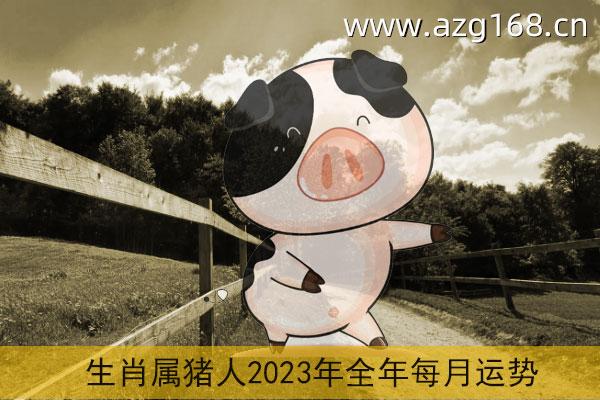 属猪2023年运势及运程详解