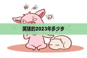 属猪的今年多大岁数(属猪的人2023年属什么)