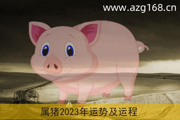 属猪人2023年各方面运势相对不错,事业的机遇不错,有利于项目合作,有