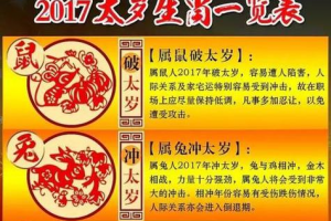 鸡年属鼠人全年运势 属鸡人运势2024年每月运程