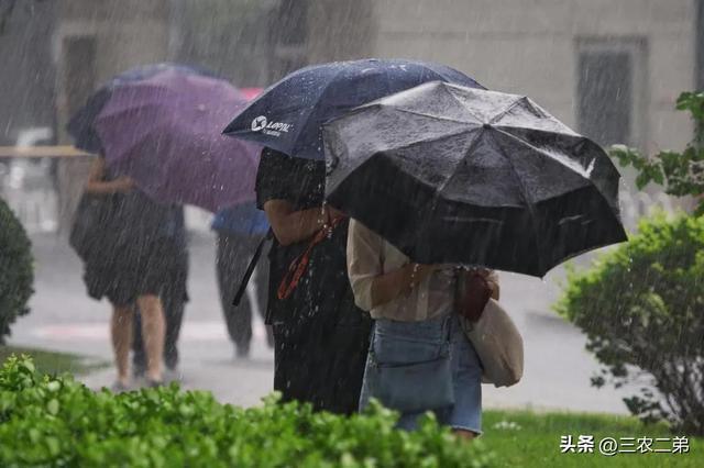 1516号大范围中到大雨连下两天60年一遇冷春农谚咋说