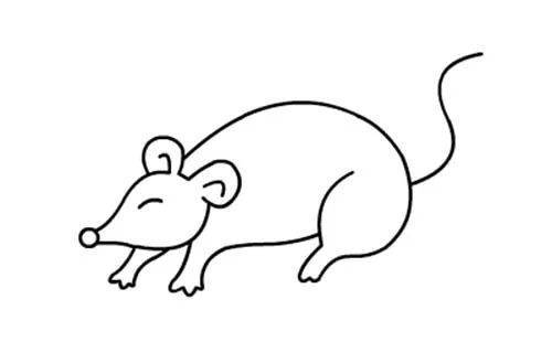 鼠和牛的生肖简笔画